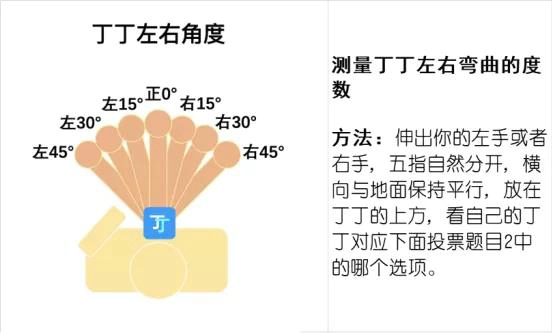 丁丁的弯曲度