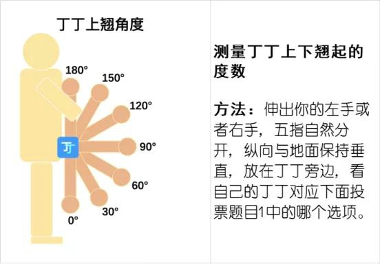丁丁的弯曲度