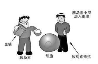 有哪些针对糖尿病的食疗处方