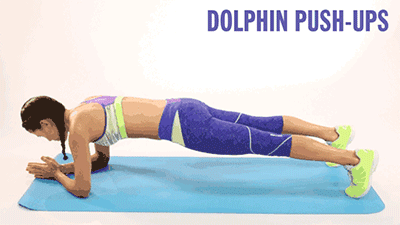 动作二：海豚平板支持（臀部上抬）